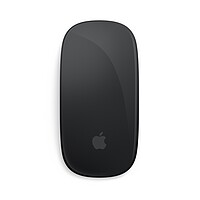 Apple Magic Mouse (black) 